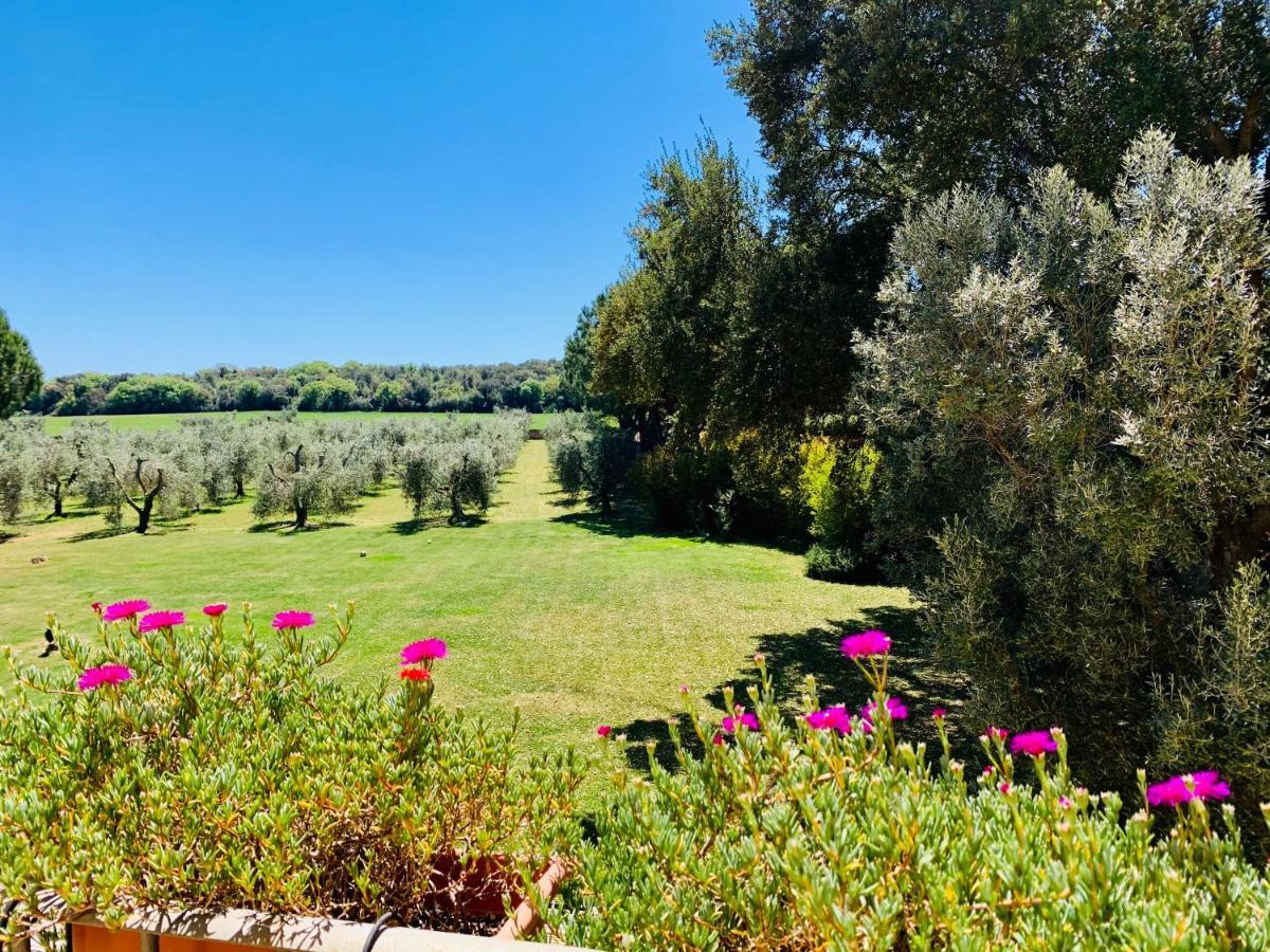 B&B Valle D'Oro Ansedonia Exterior photo